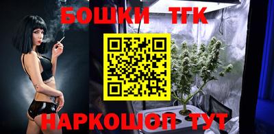 гидропоника Пенза