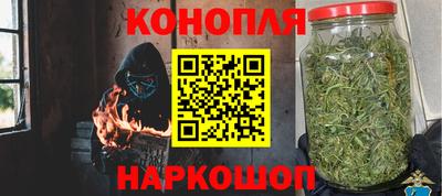 гидропоника Пенза