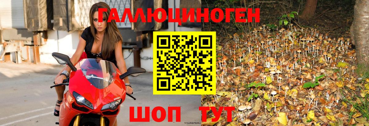 Галлюциногенные грибы ЛСД  Вход с VPN  Серпухов 