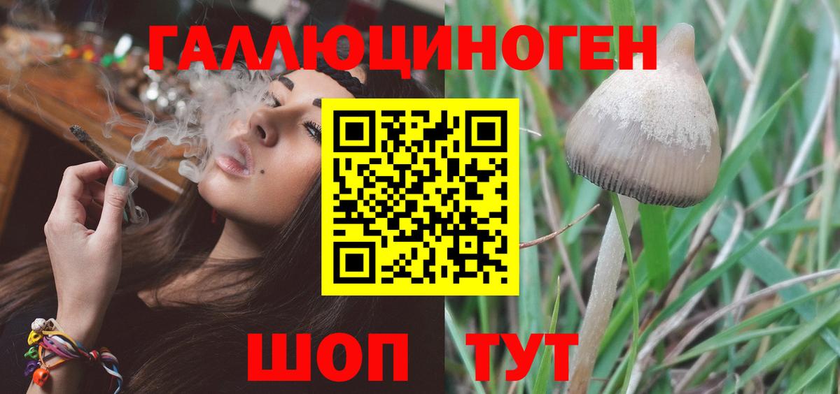 Галлюциногенные грибы прущие грибы Серпухов